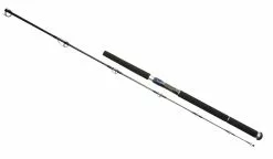Daiwa Saltiga GT86 Rod -Rods Shop 0nthhrn2635848168005590626