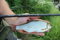 Drennan Acolyte Ultra 14ft Float -Rods Shop 1381854544 10