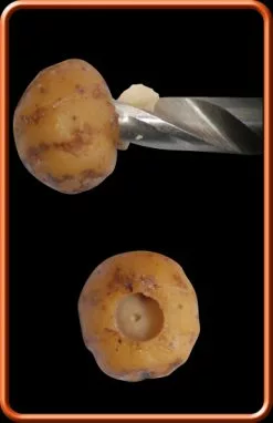 Rods Shop -Rods Shop 1394802555 1