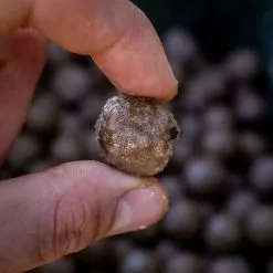 Nash Salted Squid Particle Liquid -Rods Shop 140we2cn638036708443765143