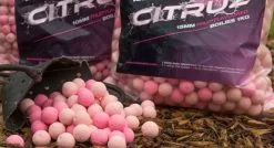 Nash Citruz Special Edition Bottom Baits 1kg 5 Nash Citruz Special Edition Bottom Baits 1kg -Rods Shop 1ebxvmbh635847364188597986