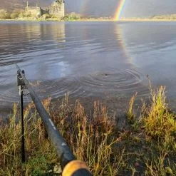 Daiwa Black Widow Deadbait Rods -Rods Shop 1p0fx1fq638037749376916553