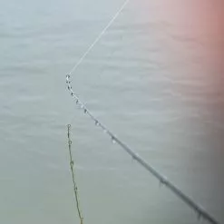 Daiwa N'zon Super Slim Feeder Rods -Rods Shop 2azfim5t638122437773733328