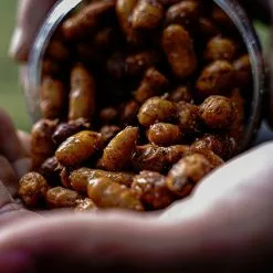 Munch Baits Jumbos In Cola -Rods Shop 3dggvroh638098277731911371