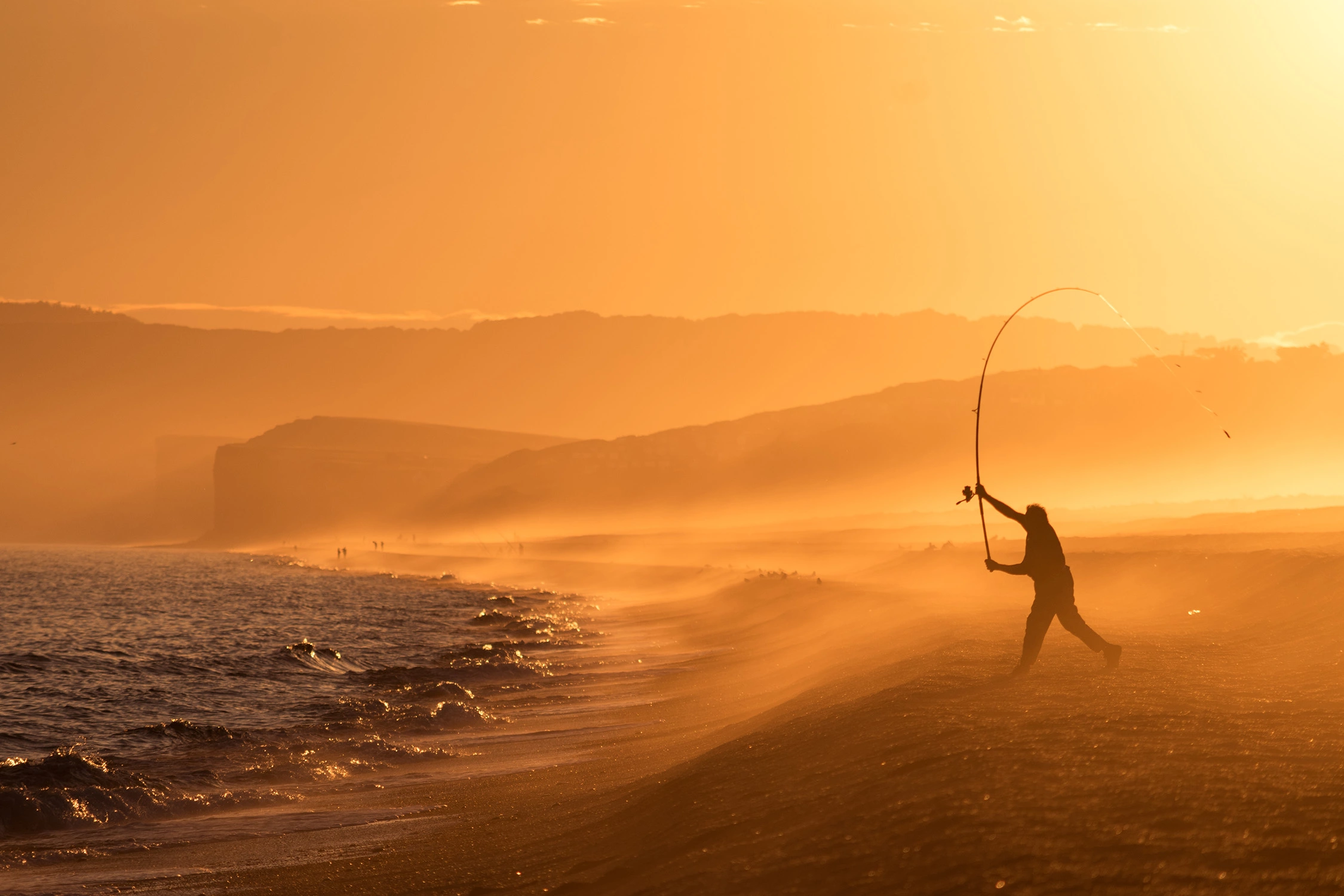 Rods Shop -Rods Shop 46