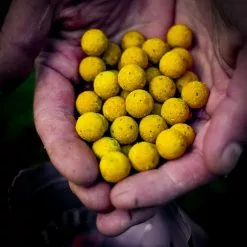 Munch Baits Citrus Nut Boilies 14mm -Rods Shop 4l21ewis638097418494361546