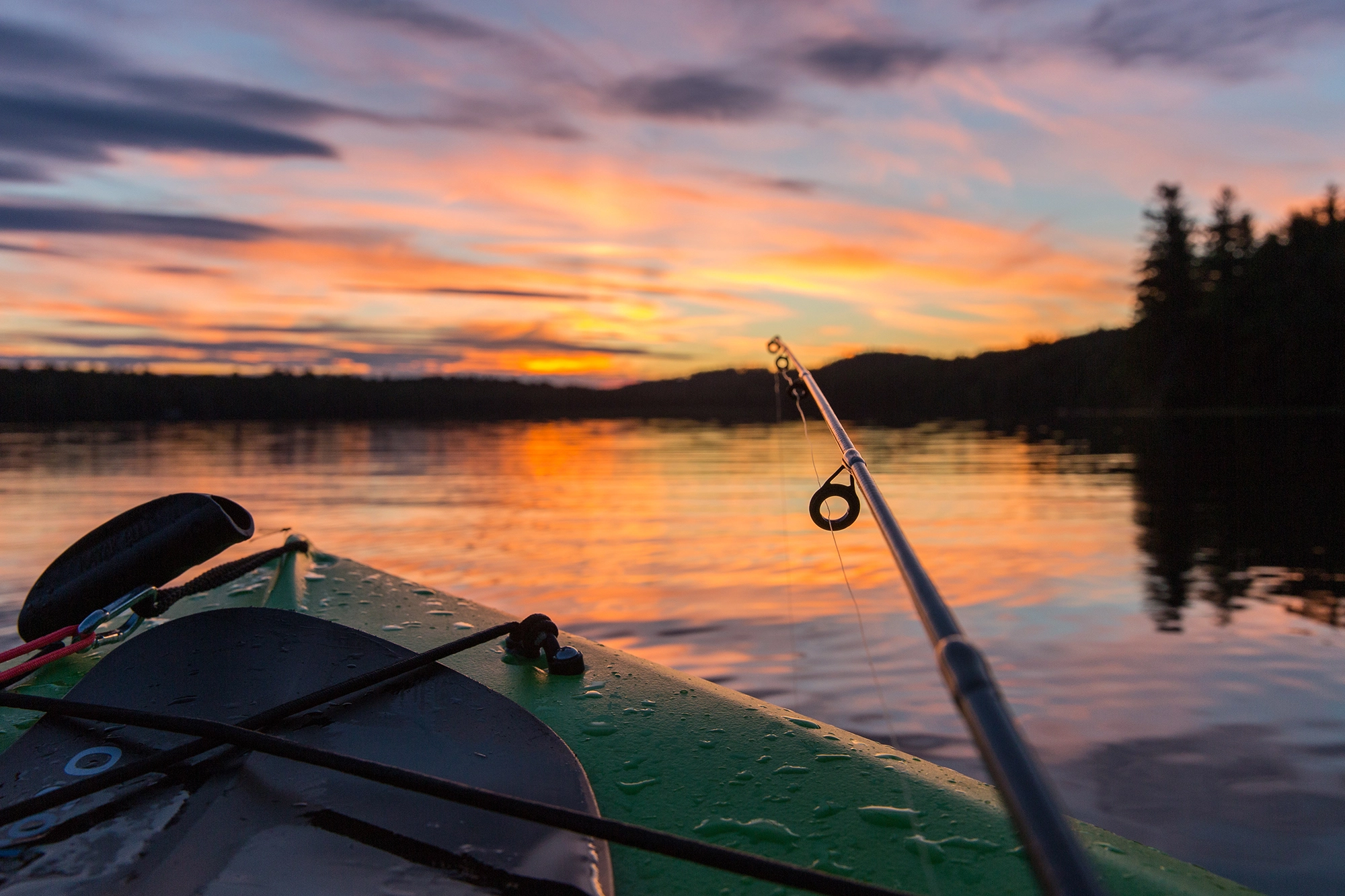 Rods Shop -Rods Shop 58