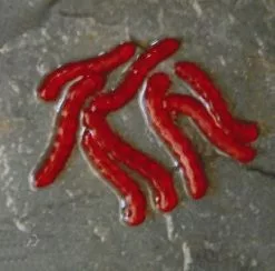 Enterprise Tackle Enterprise Artificial Bloodworms -Rods Shop 5c3gweiq636668968203186582