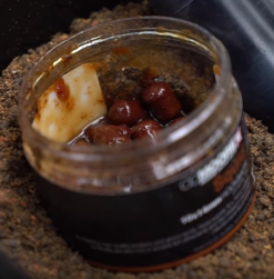 CC Moore Squid Hookbaits -Rods Shop 5ibuk0rh637116581796836877