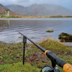 Daiwa Black Widow Deadbait Rods -Rods Shop 5ulcahz1638037749376916553