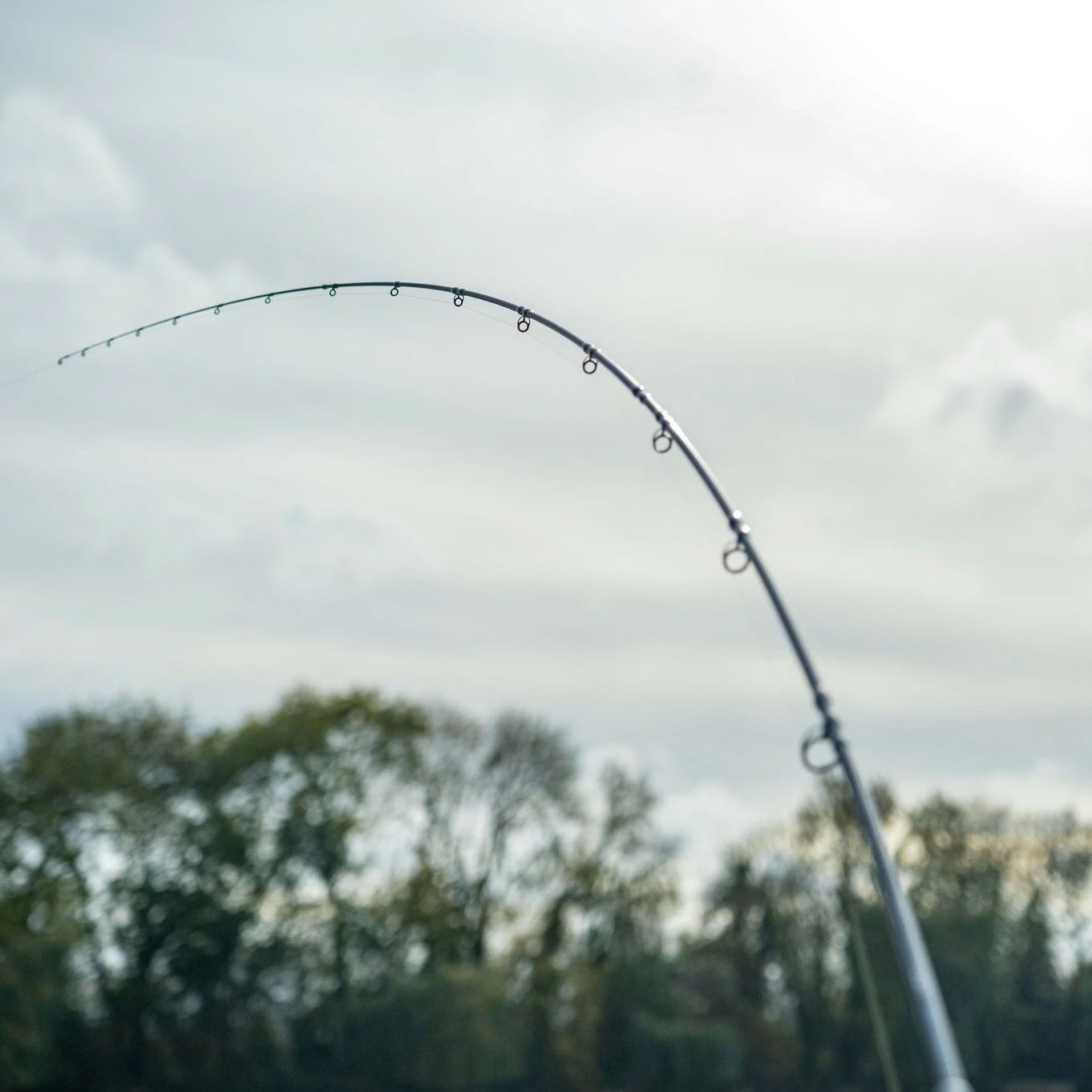 Daiwa N'zon Ext Feeder Rods 2 Daiwa N'zon Ext Feeder Rods - Image 2