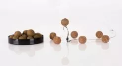 Nash Scopex Squid Pop Ups -Rods Shop amkcwhpe636263783532356740