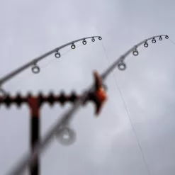 Guru N-Gauge Specimen Dual Tip Rods 10 Guru N-Gauge Specimen Dual Tip Rods -Rods Shop b2vhwjmg638089600291664940