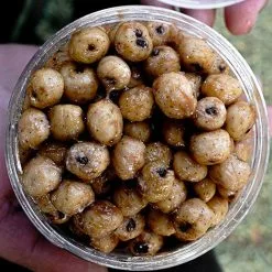 Munch Baits Cream Tiger Nuts -Rods Shop bm1qp0ti638098243549890189