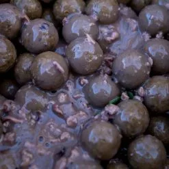 Nash Salted Squid Particle Liquid -Rods Shop cdjrglua638036708443765143