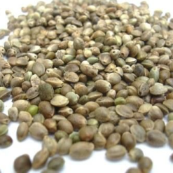 Skrettings Hempseed 1kg (Uncooked)