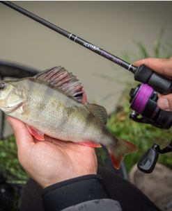 Wychwood Agitator Dropshot Rod -Rods Shop fxu314aq638152661511542144