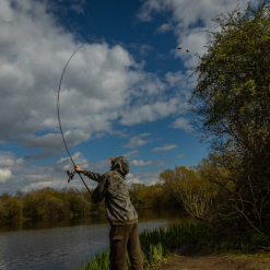 Prologic C-Series Compact Rods -Rods Shop ivzlju0u637595981788094403