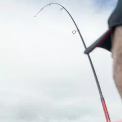 Daiwa Ninja Tele Spinning Rods -Rods Shop joonkddt637961664685991908