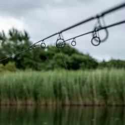 Daiwa Vertice Carp Rods -Rods Shop jtdburfa637835455207995648