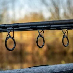 Daiwa Black Widow Ext Carp Rods -Rods Shop jw0z01v5638067831980228055