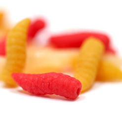 Enterprise Tackle Enterprise Imitation Maggots