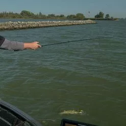 Fox Rage Terminator Versatile Casting Rods -Rods Shop kbfl2b5u637431042259289021