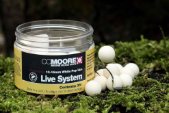 CC Moore Live System Pop Ups -Rods Shop ksn5tgrx637453663749828190
