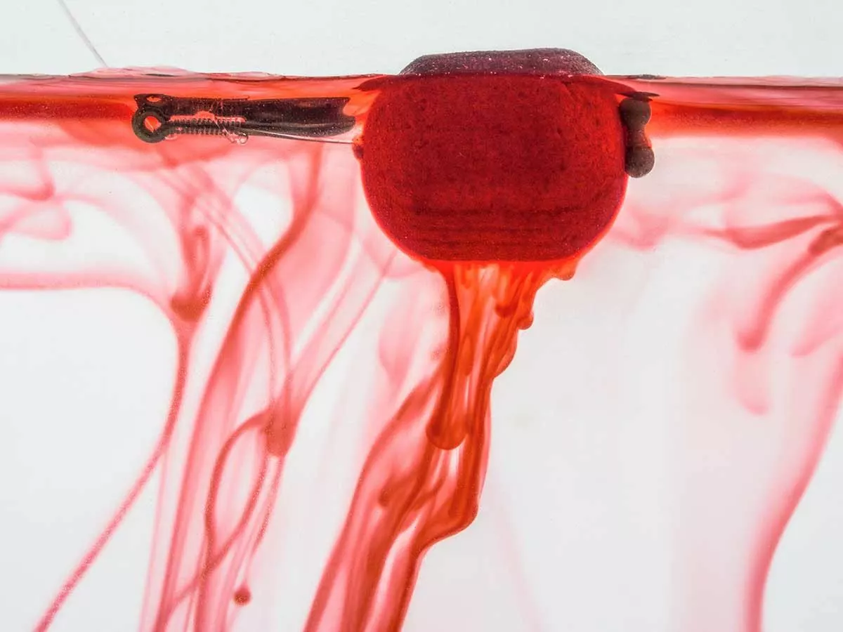 Sonubaits Oozing Floaters 2 Sonubaits Oozing Floaters - Image 2