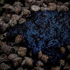 Munch Baits Bloodworm Complex 6 Munch Baits Bloodworm Complex -Rods Shop mj45xsmz638098296009355398