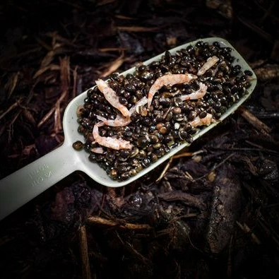 Munch Baits Hemp & Krill 4 Munch Baits Hemp & Krill - Image 4