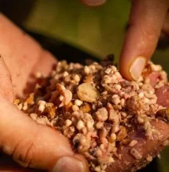 Mainline Power Plus Particles Nut Crush -Rods Shop odq1ps3b637515777144924608