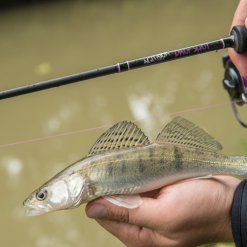 Wychwood Agitator Dropshot Rod -Rods Shop og30r1gx638152661511542144