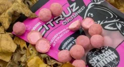 Nash Citruz Cultured Hookbaits 7 Nash Citruz Cultured Hookbaits -Rods Shop olyjfrud636149084839963902