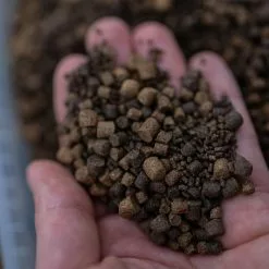 Munch Baits Spod Mix Pellets -Rods Shop q4qutvfs638106641180320762