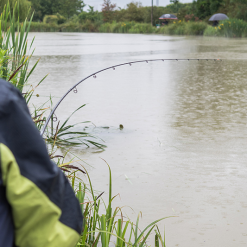 Matrix Ethos XRC Bomb Rods -Rods Shop qvb331dc637619449662453217