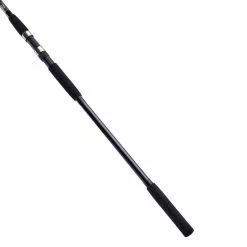 Daiwa D Wave Sea Bass Rod 11ft 7 Daiwa D Wave Sea Bass Rod 11ft -Rods Shop rbgsm2t4638010931705094462
