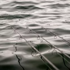 Daiwa Infinity X45 Carp Rods -Rods Shop rbpngg5b638149893184428074