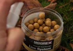 CC Moore Live System Booster Liquid 5 CC Moore Live System Booster Liquid -Rods Shop tbmd3y1t636869675117821864