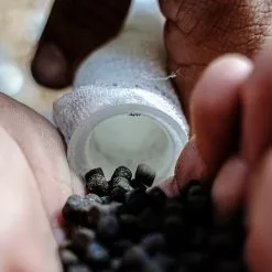 Munch Baits Bio Marine Pellets -Rods Shop tul0m2bm638097396220034999