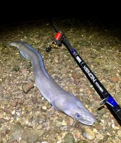 TronixPro Xenon Power Rod 13ft 8in -Rods Shop u32b5cyu636846343755425733