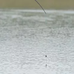 Daiwa KC Carpa Gloucester Wire Stem -Rods Shop unv43xit638110324411969706