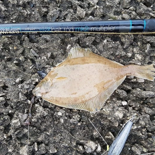 Anyfish Anywhere Six & Bait MK2 Rods 15ft 1 Anyfish Anywhere Six & Bait MK2 Rods 15ft