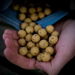 Munch Baits Cream Seed Boilies -Rods Shop wampx0sh638100633097287105