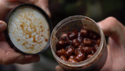 CC Moore Squid Hookbaits -Rods Shop wrp0e4t3637116581796836877