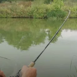 Guru Aventus Steve Ringer Light Feeder Rods -Rods Shop wvyohdml637980563261790009