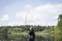 Avid Carp Traction Pro Carp Rods -Rods Shop xrppeoxn637074426031927742