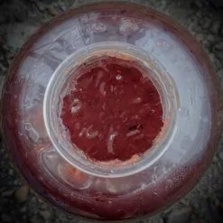 Munch Baits Raw Krill -Rods Shop xu3d1daj638100620578436467