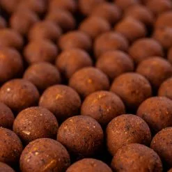 DNA Baits Secret 7 Shelf Life Boilies -Rods Shop y0fko50p638139713598976019