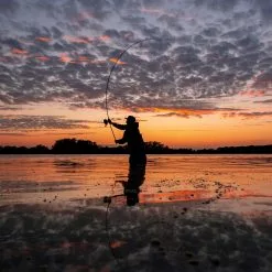 Nash X-Series Carp Rods -Rods Shop y510jabu638080074910481707